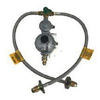 dual gas regulator