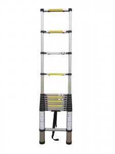 ladder 2