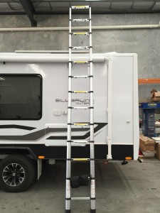 ladder 3